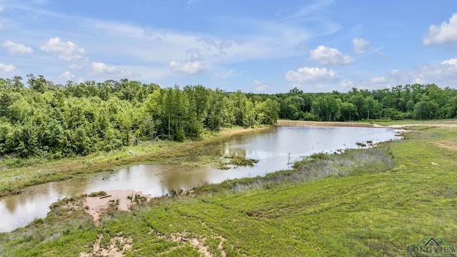 14013 Fm 2868, Flint, TX 75762 - photo 8