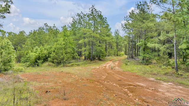 14013 Fm 2868, Flint, TX 75762 - photo 17