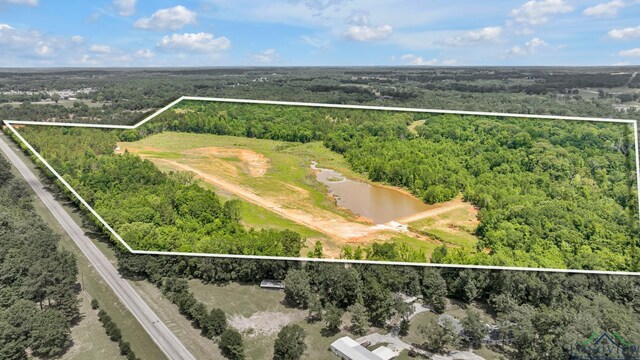 14013 Fm 2868, Flint, TX 75762 - photo 20