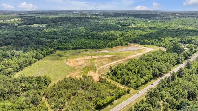 14013 Fm 2868, Flint, TX 75762 - photo 2