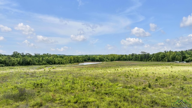14013 Fm 2868, Flint, TX 75762 - photo 6