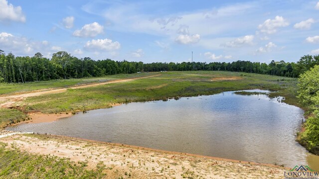 14013 Fm 2868, Flint, TX 75762 - photo 10