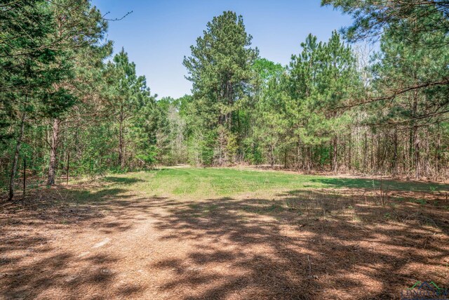 TBD Diana S, New Diana, TX 75640 - photo 25