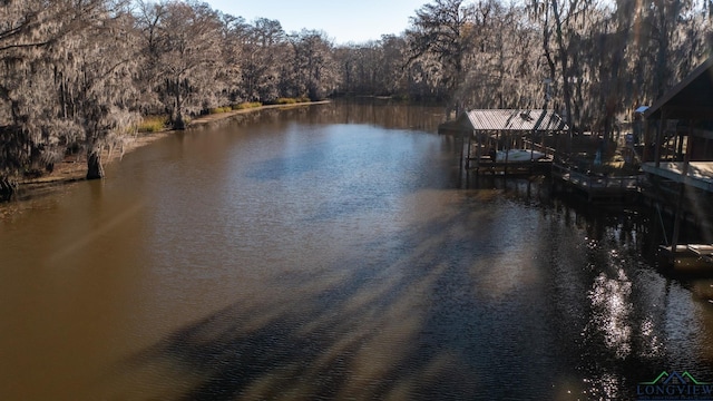 property view of water with a dock