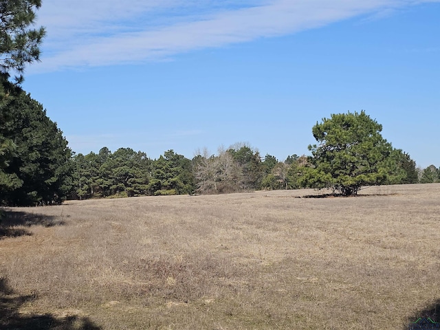 TBD Caribou, Gilmer TX, 75644 land for sale