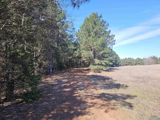 Listing photo 3 for TBD Caribou, Gilmer TX 75644