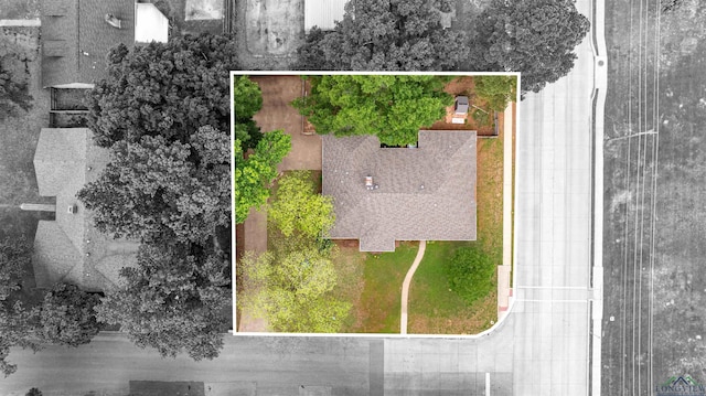 bird's eye view
