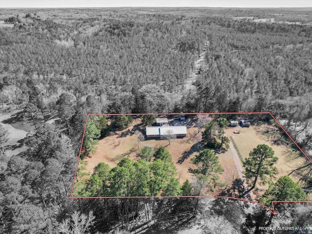 birds eye view of property with a forest view