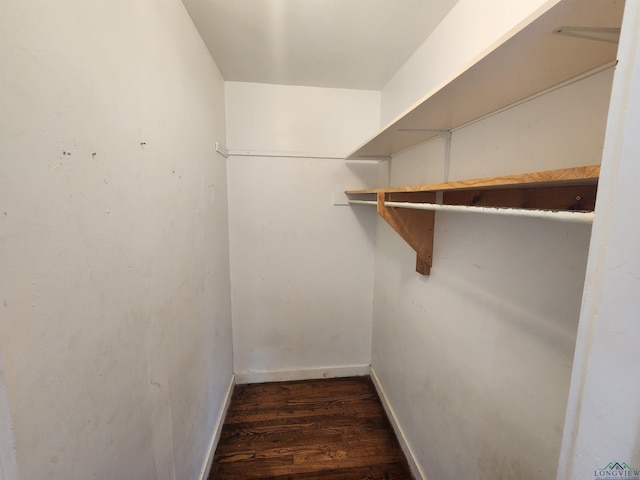 spacious closet with dark hardwood / wood-style floors