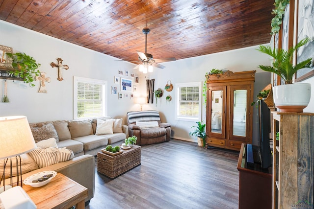 living room featuring ceiling fan, a healthy amount of sunlight, and dark wood-type flooring