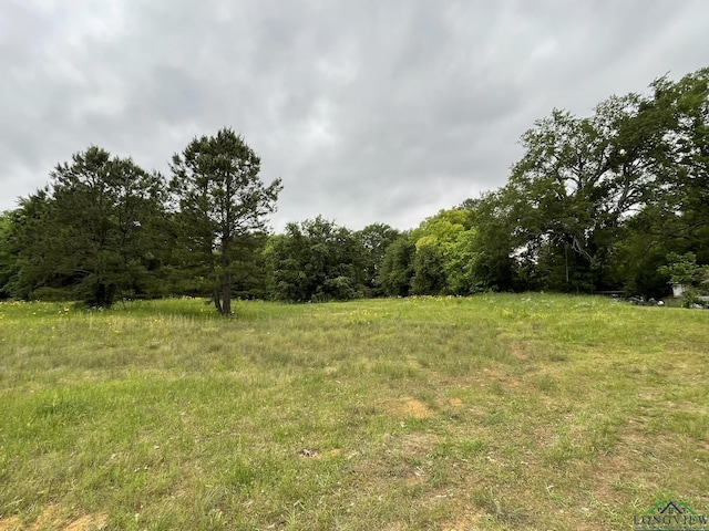 Listing photo 3 for TBD N Rodeo Dr, Gladewater TX 75647