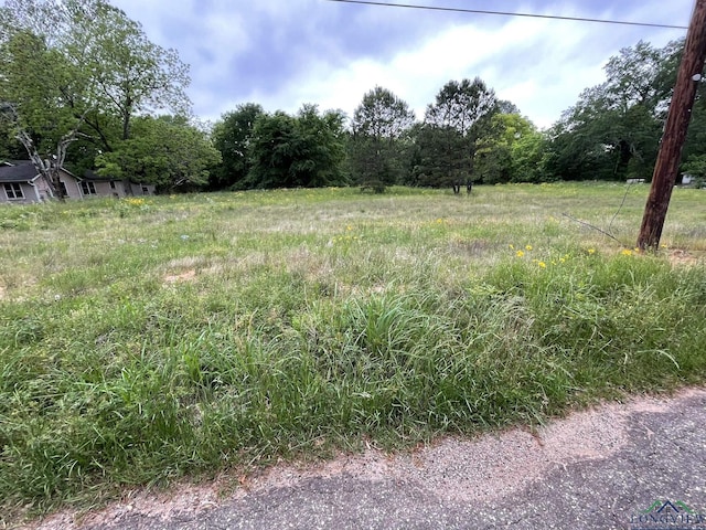 Listing photo 2 for TBD N Rodeo Dr, Gladewater TX 75647