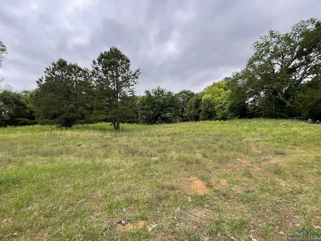 TBD N Rodeo Dr, Gladewater TX, 75647 land for sale