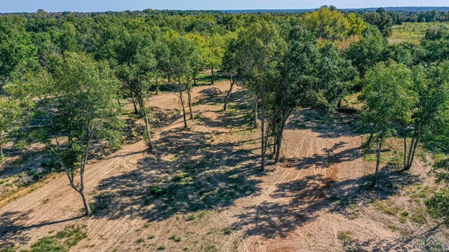 TBD Holland Rd, Mineola TX, 75773 land for sale