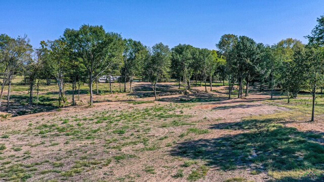 Listing photo 2 for TBD Holland Rd, Mineola TX 75773