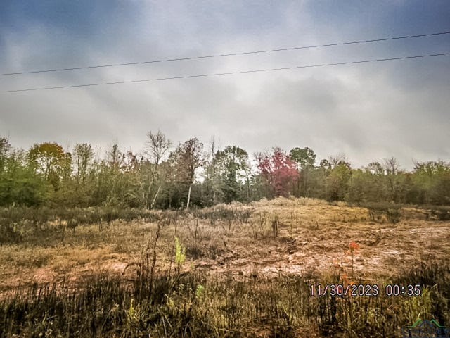 Listing photo 3 for LOT2 Keasler Rd, Hallsville TX 75650