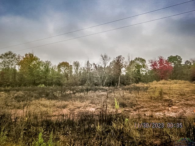 LOT2 Keasler Rd, Hallsville TX, 75650 land for sale