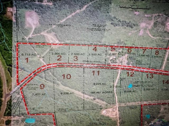 Listing photo 2 for LOT2 Keasler Rd, Hallsville TX 75650