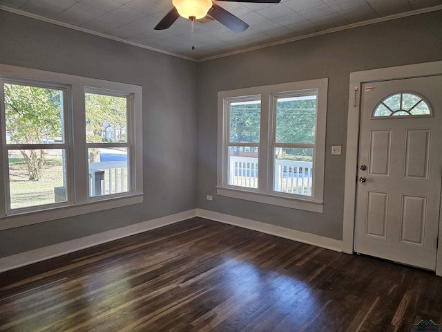 entrance foyer featuring a wealth of natural light, ceiling fan, dark hardwood / wood-style flooring, and crown molding