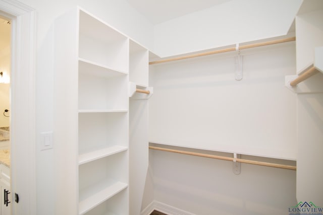 view of walk in closet