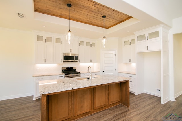 kitchen with a tray ceiling, a kitchen island with sink, white cabinetry, and stainless steel appliances