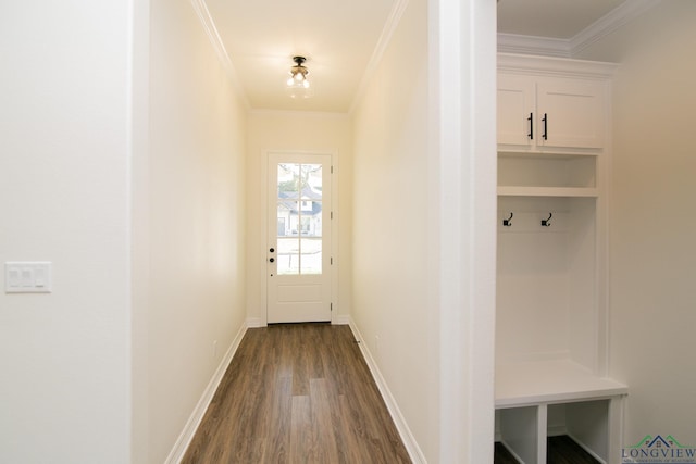 mudroom with dark hardwood / wood-style floors and crown molding