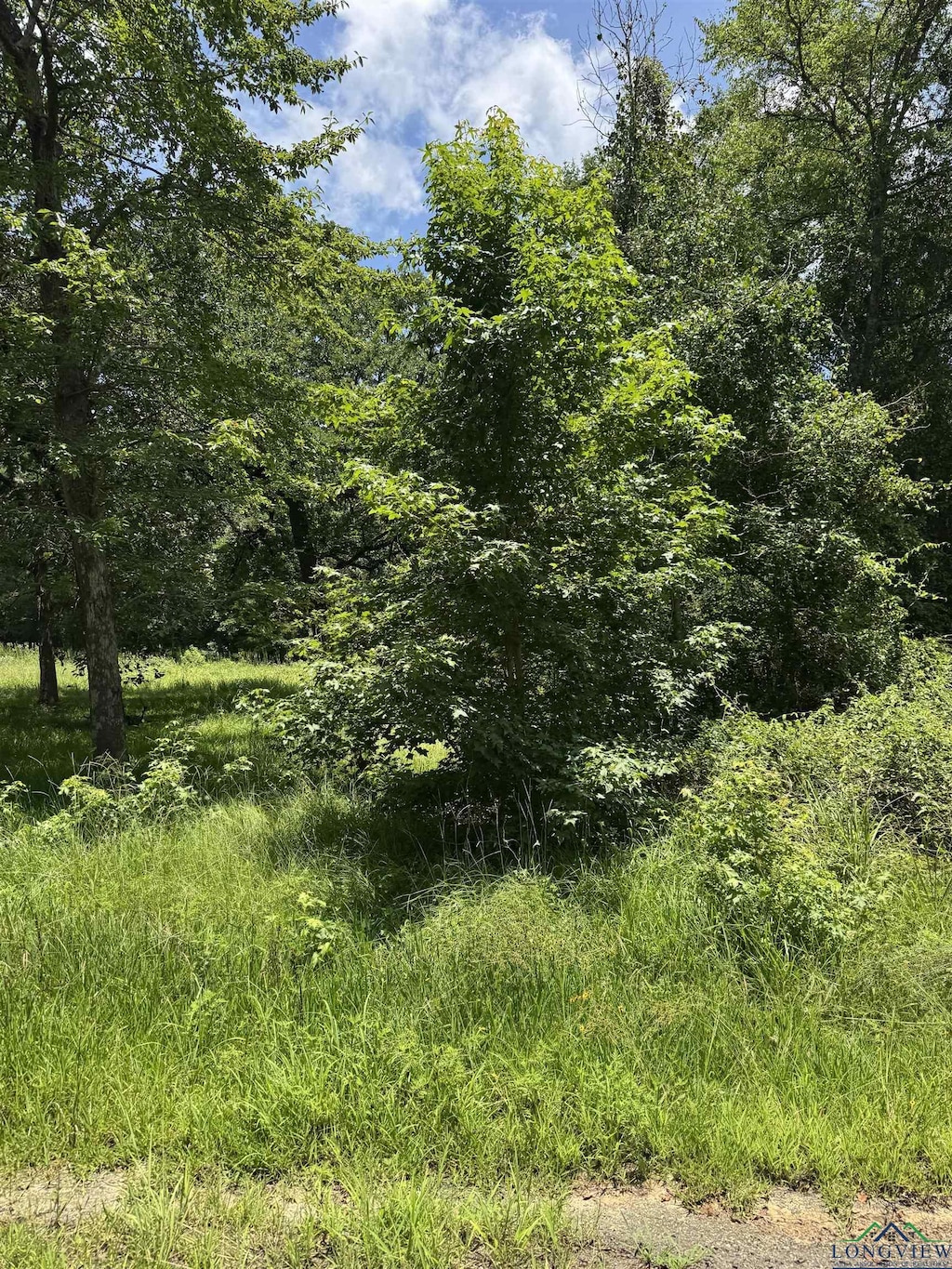 TBD Balboa Dr, Jefferson, TX 75657 - photo 1