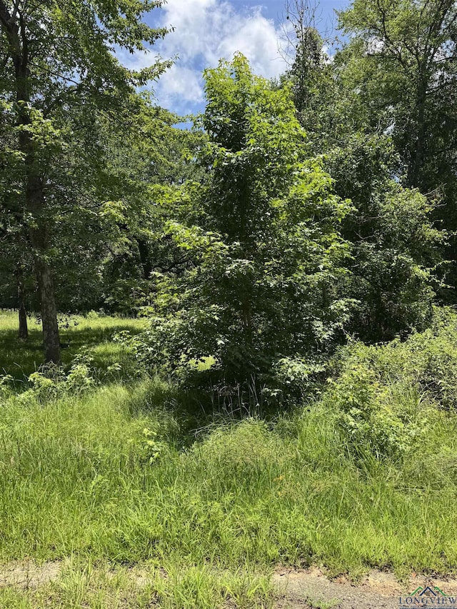 TBD Balboa Dr, Jefferson, TX 75657 - photo 1