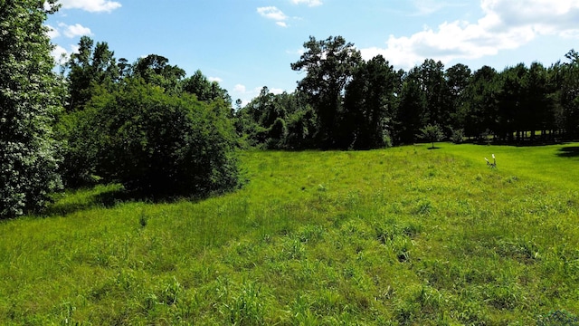 TBD Dreesen Rd, Jefferson, TX 75657 - photo 10