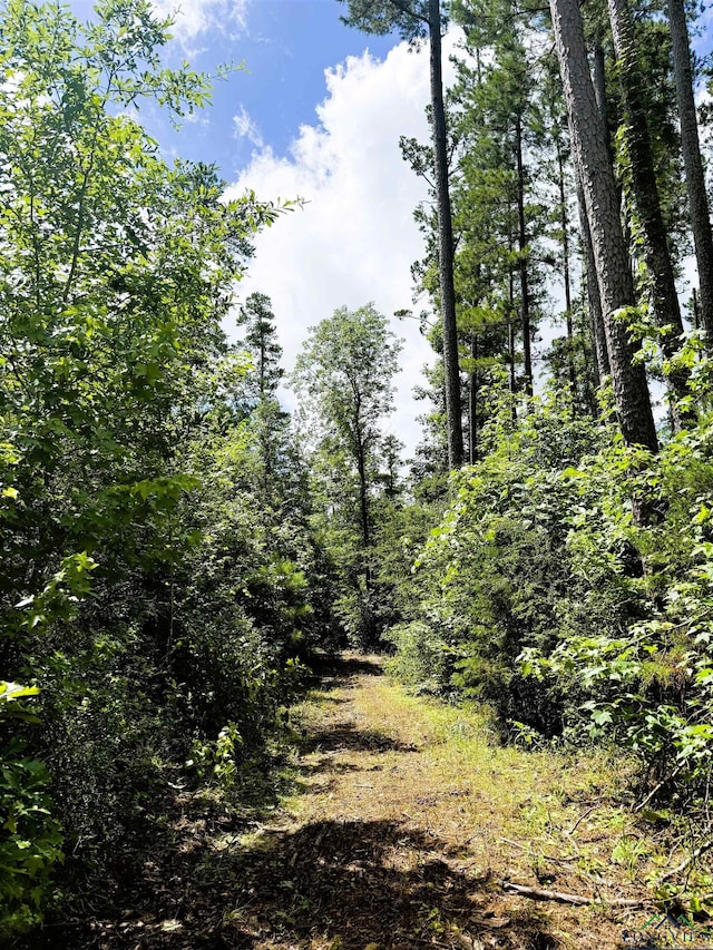 TBD Dreesen Rd, Jefferson, TX 75657 - photo 23