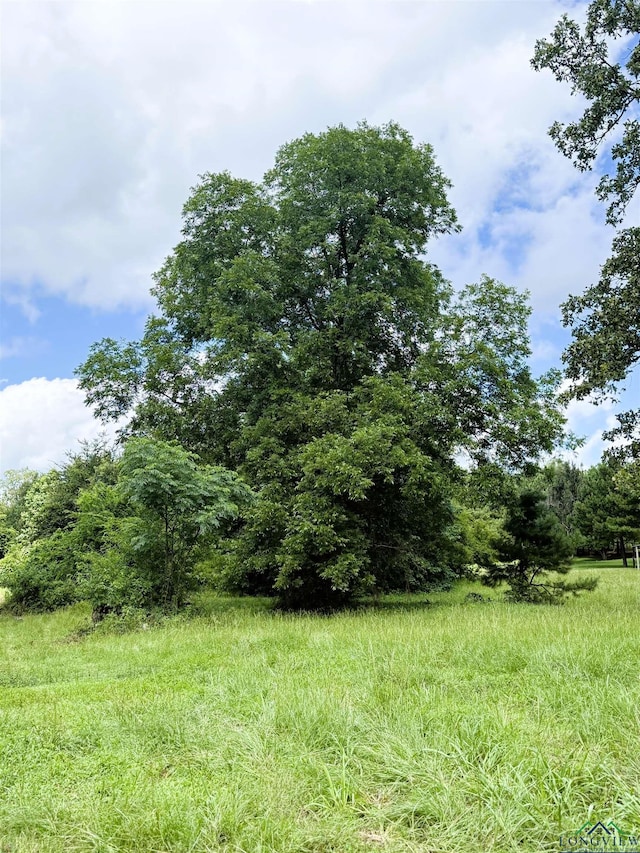 TBD Dreesen Rd, Jefferson, TX 75657 - photo 20