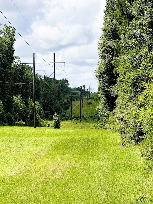 TBD Dreesen Rd, Jefferson, TX 75657 - photo 25