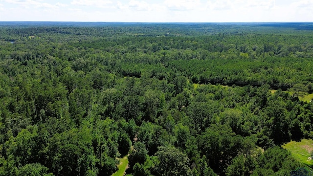 TBD Dreesen Rd, Jefferson, TX 75657 - photo 8