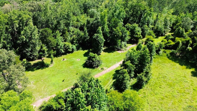 TBD Dreesen Rd, Jefferson, TX 75657 - photo 12