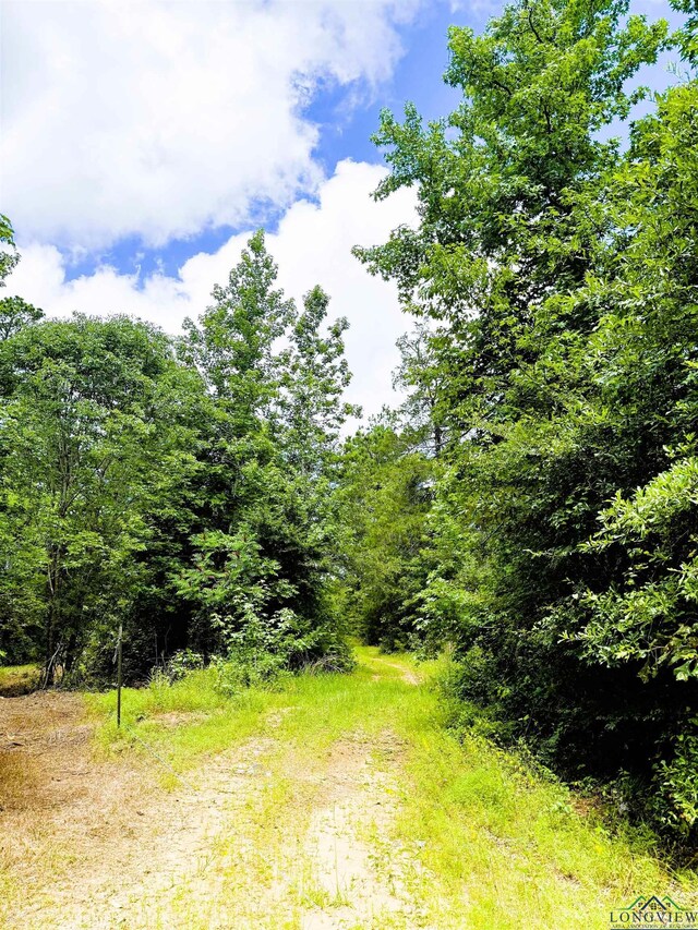 TBD Dreesen Rd, Jefferson, TX 75657 - photo 22