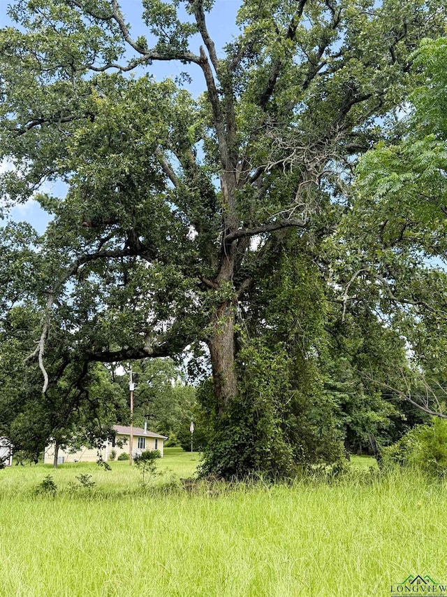 TBD Dreesen Rd, Jefferson, TX 75657 - photo 19