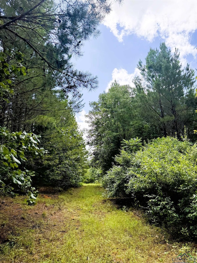 TBD Dreesen Rd, Jefferson, TX 75657 - photo 29