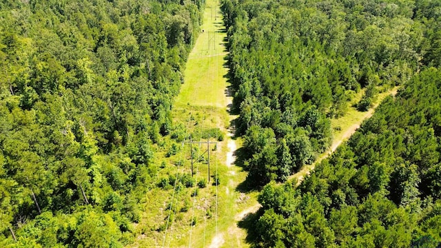 TBD Dreesen Rd, Jefferson, TX 75657 - photo 15