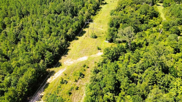 TBD Dreesen Rd, Jefferson, TX 75657 - photo 14