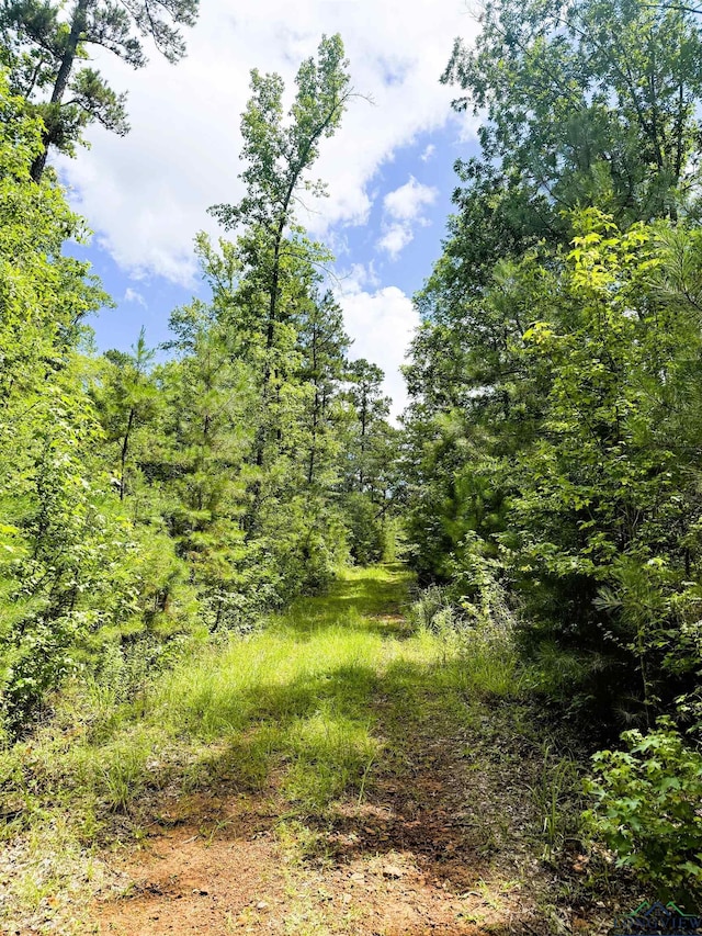 TBD Dreesen Rd, Jefferson, TX 75657 - photo 27