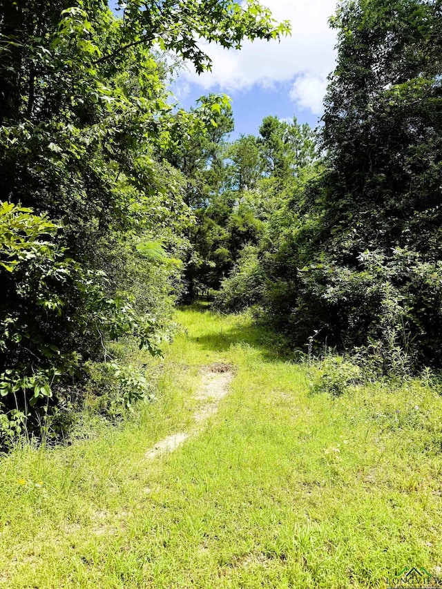TBD Dreesen Rd, Jefferson, TX 75657 - photo 21