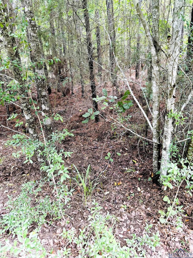 TBD Dreesen Rd, Jefferson, TX 75657 - photo 28