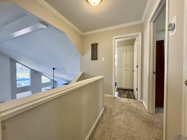 corridor featuring carpet floors and ornamental molding