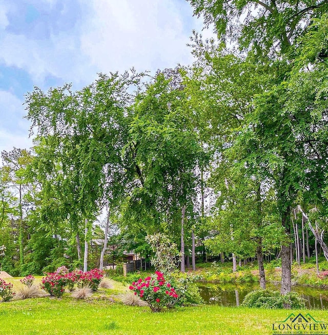 2198 Pinehurst St, Tyler, TX 75703