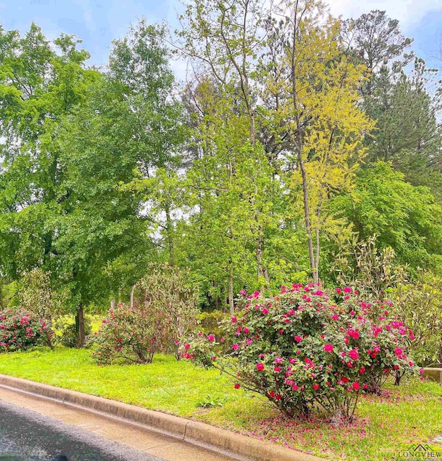 2198 Pinehurst St, Tyler, TX 75703