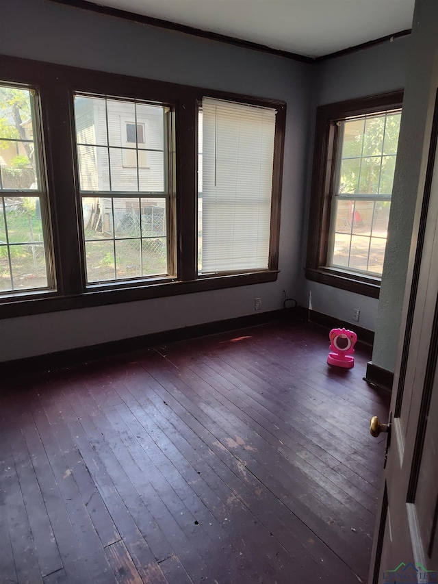 empty room with dark hardwood / wood-style floors