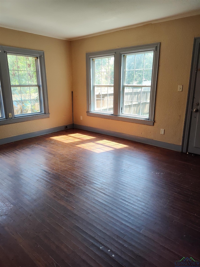 empty room with dark hardwood / wood-style floors