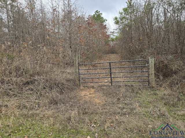 000 County Road 1634, Linden TX, 75563 land for sale