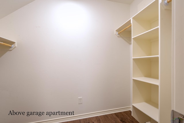 spacious closet with wood-type flooring