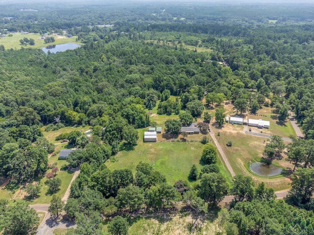 4631 Hawk Rd, Diana, TX 75640 - photo 10